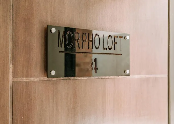 Morpho Loft, Enzio Unit 4 チャングー